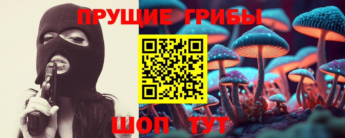 Галлюциногенные грибы Psilocybe  цены наркотик  Междуреченск  Галлюциногенные грибы Psilocybine cubensis  Вход с VPN 